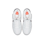 Nike Dunk SB Pro Iso