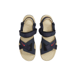 Nike ACG Air Deschutz+