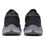 Nike Pegasus Trail 2