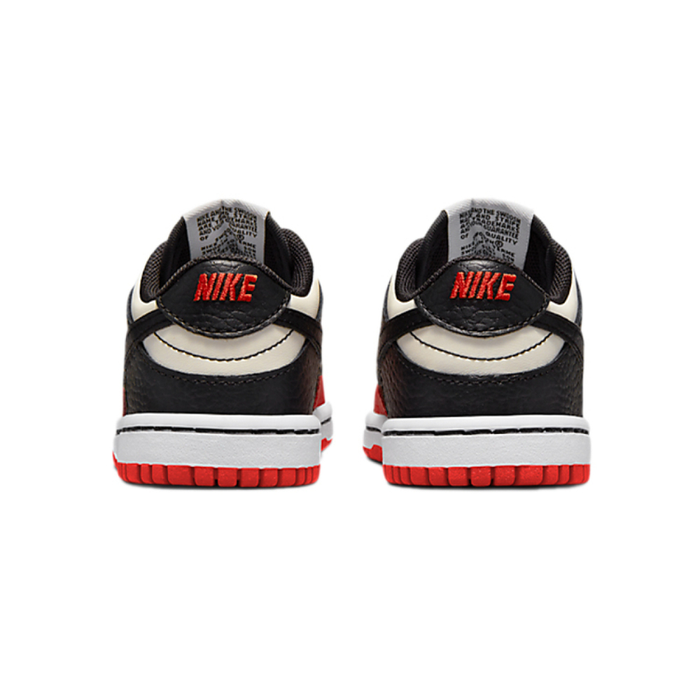 NBA x Nike Dunk NBA 75