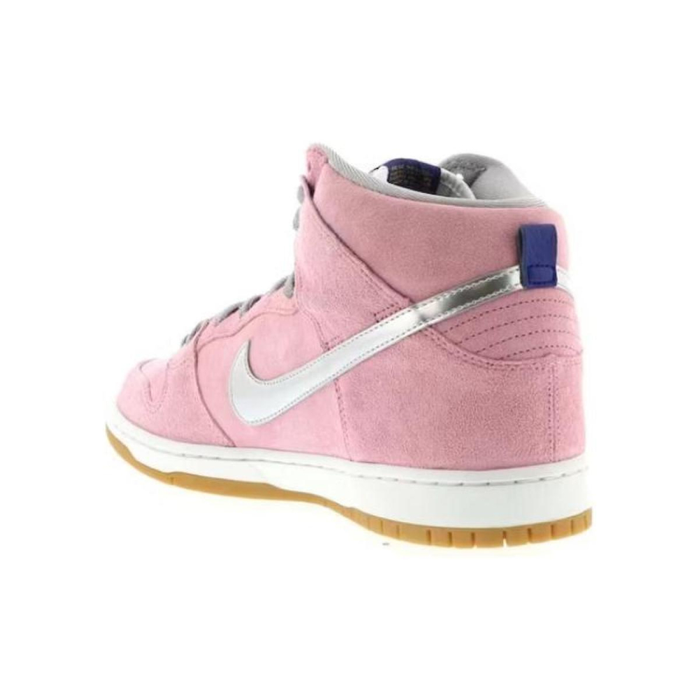 Nike Dunk SB Concepts When Pigs Fly