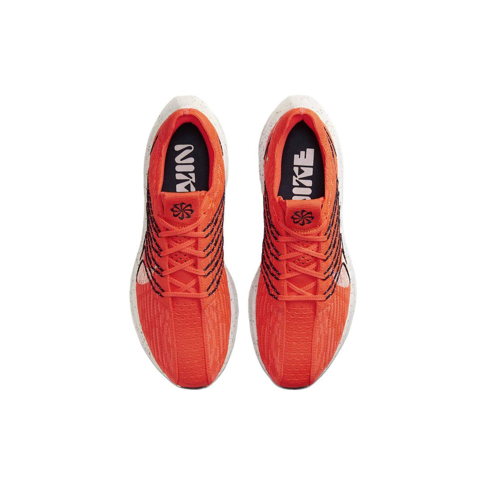 Nike Pegasus Turbo Next Nature