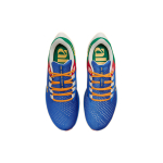 Nike Pegasus 38