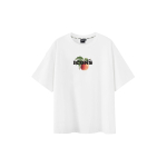 ICONS Lab T