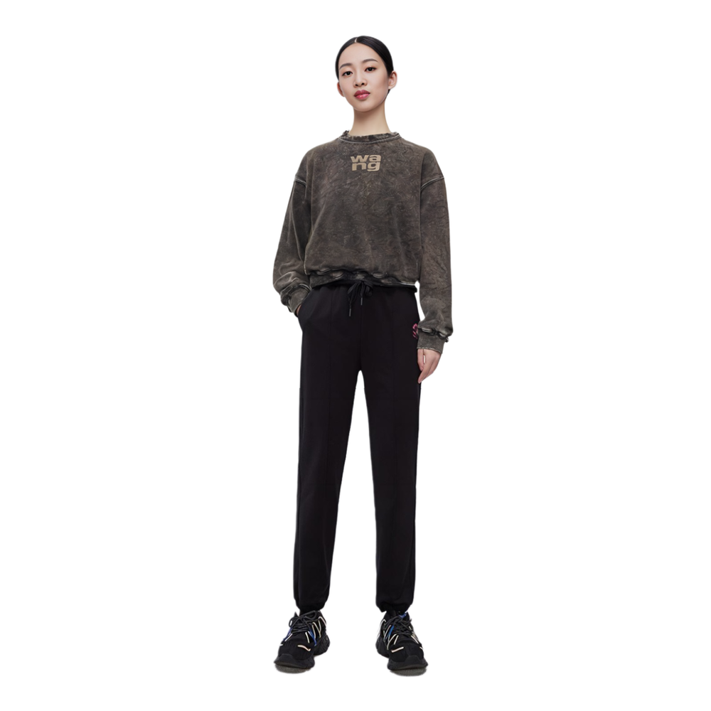 Alexander wang