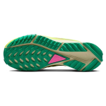Nike Pegasus Trail 4 GTX