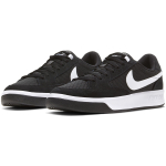 Nike SB Adversary