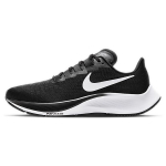 Nike Pegasus 37