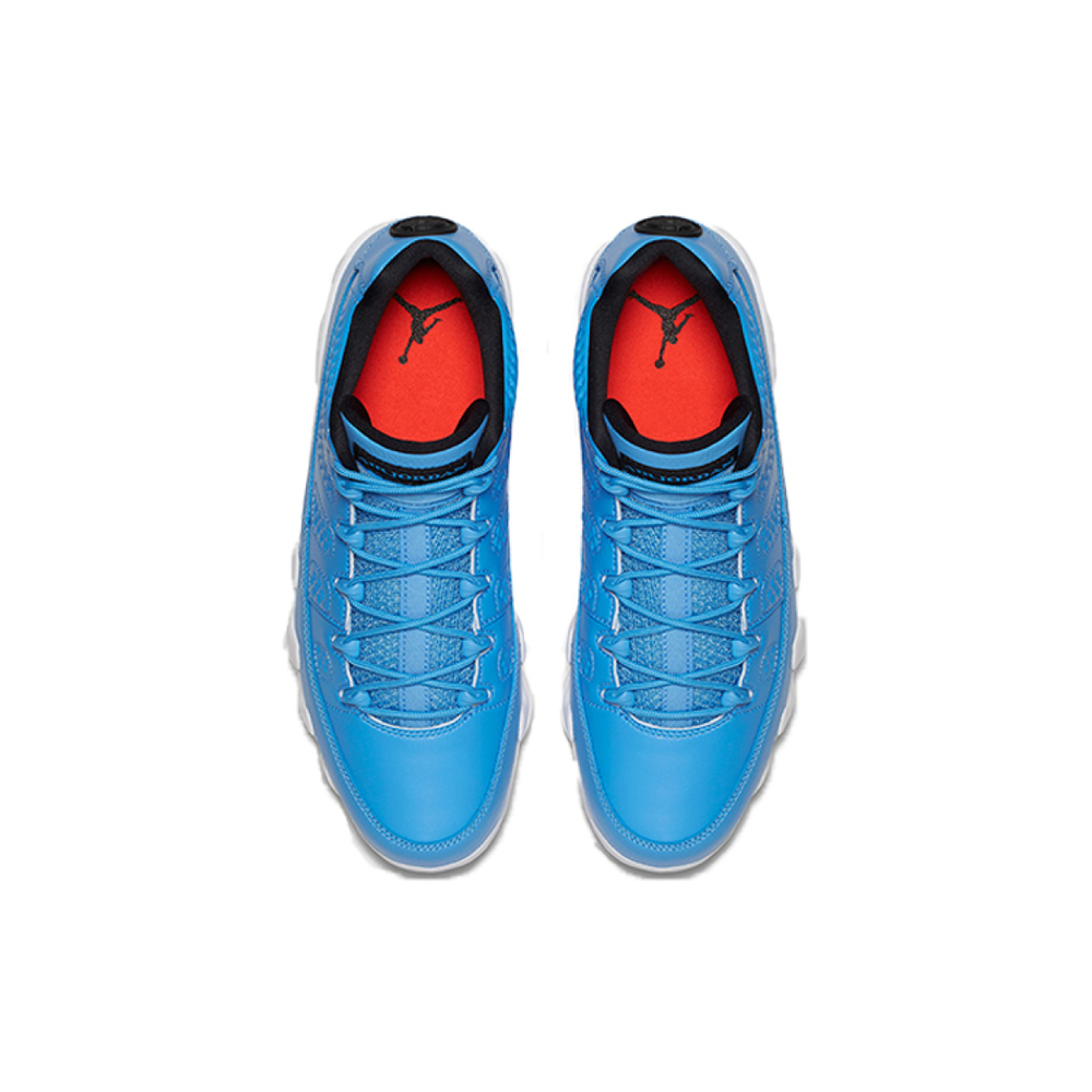 Jordan Air Jordan 9 Retro Low Pantone