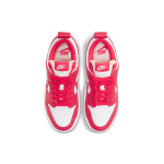 Nike Dunk Disrupt Disrupt