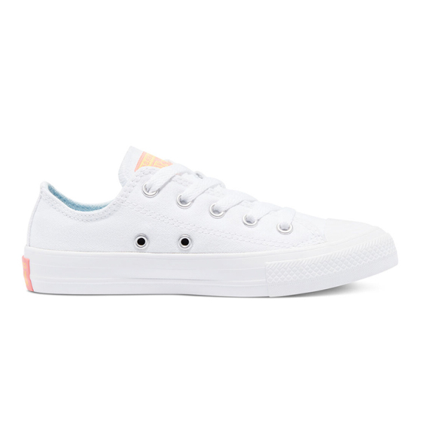 Converse Chuck Taylor All Star Low Top