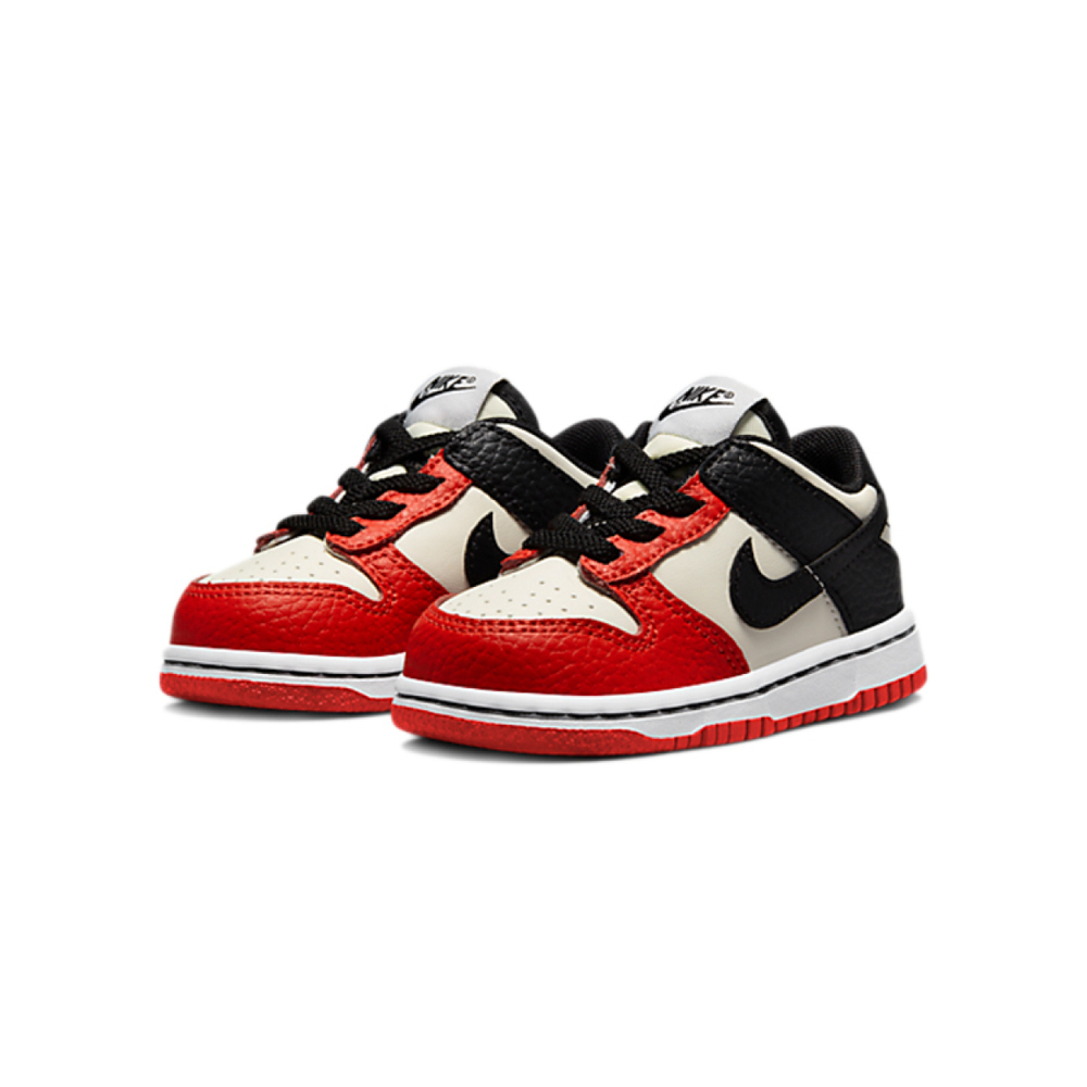 NBA x Nike Dunk NBA 75