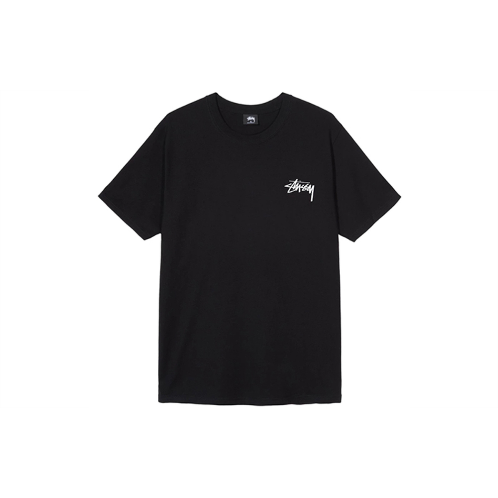 Stussy Falls Tee T