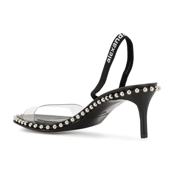 Alexander wang