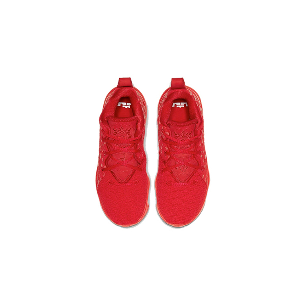 Nike Lebron 17 17
