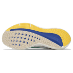 Nike Zoom Winflo 9 PRM