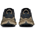 Nike Pegasus Trail 3