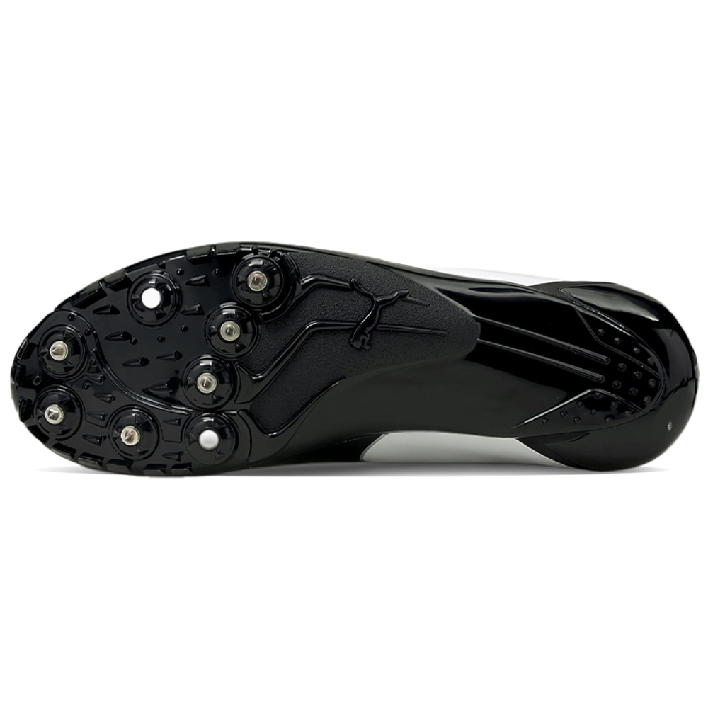 PUMA EvoSPEED Prep Sprint 2