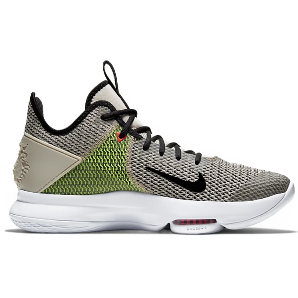 Nike Witness 4 Lebron EP