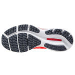 Mizuno Wave Rider 24