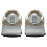 Nike Dunk disrupt 2