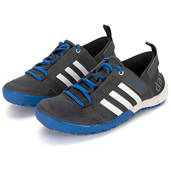 Adidas Terrex Daroga Two 13