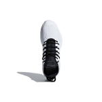 Adidas Crazy 1 ADV