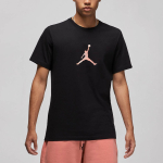 Jordan Sport DNA Logo T