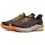 Asics GT-2000 12