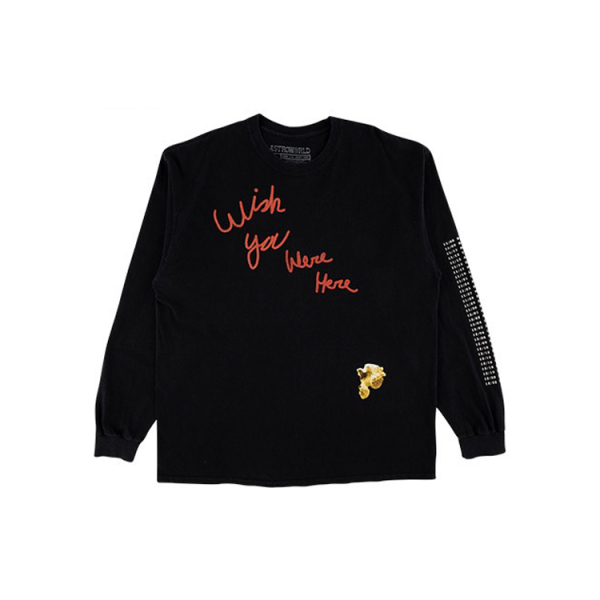Travis Scott Cactus Jack Astro World T
