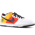 Nike Dunk SB Pro Raygun