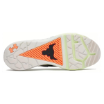 Under Armour Project Rock 4
