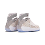 Jordan Air Jordan 20 Retro 30th Anniversary Laser