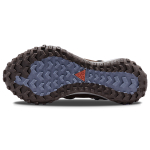Nike ACG Mountain Fly Low SE