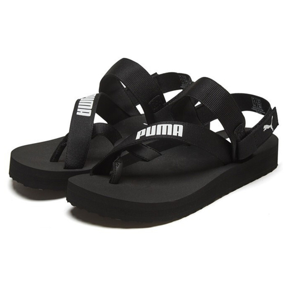 Puma Summercat