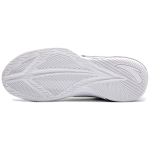 Anta
