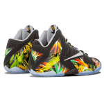Nike Lebron 11 Everglades
