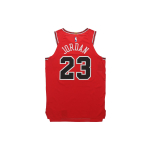 Jordan NBA Icon Edition Authentic Jersey (Chicago Bulls) AU