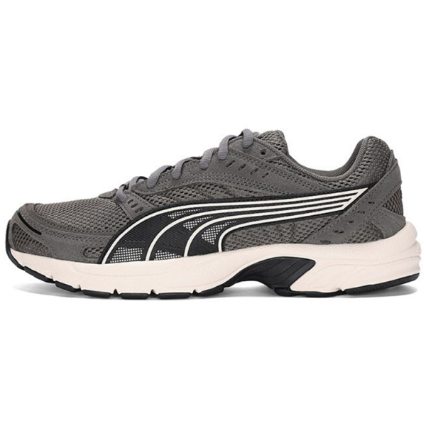 PUMA Axis