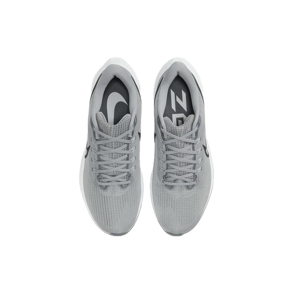 Nike Air Zoom Pegasus 39