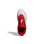Adidas D lillard 7 Extply GCA