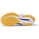 Mizuno Wave Rider 27