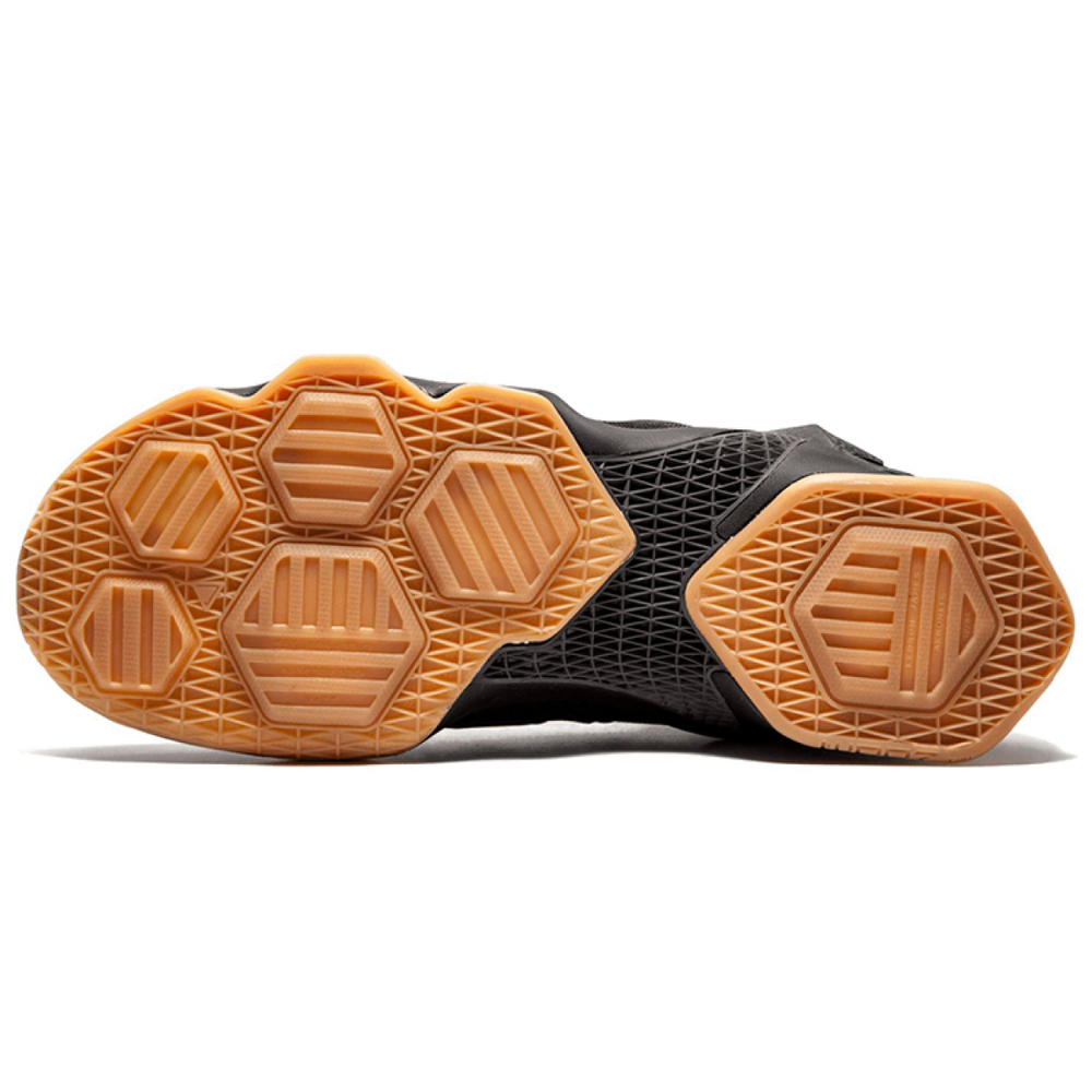 Nike Lebron 13 Black Lion