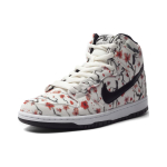 Nike Dunk SB Pro