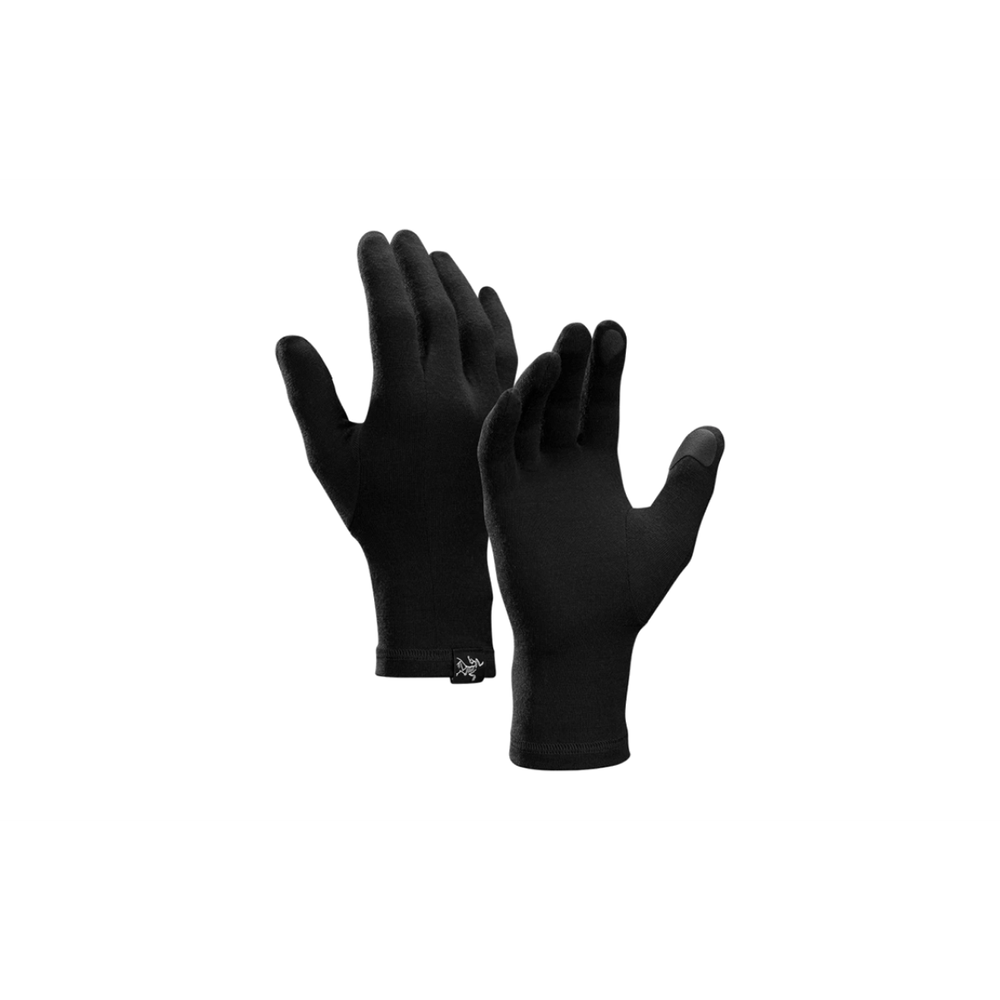 Arcteryx Gothic Glove