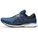 Asics EvoRide