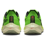 Nike Air Zoom Pegasus 39