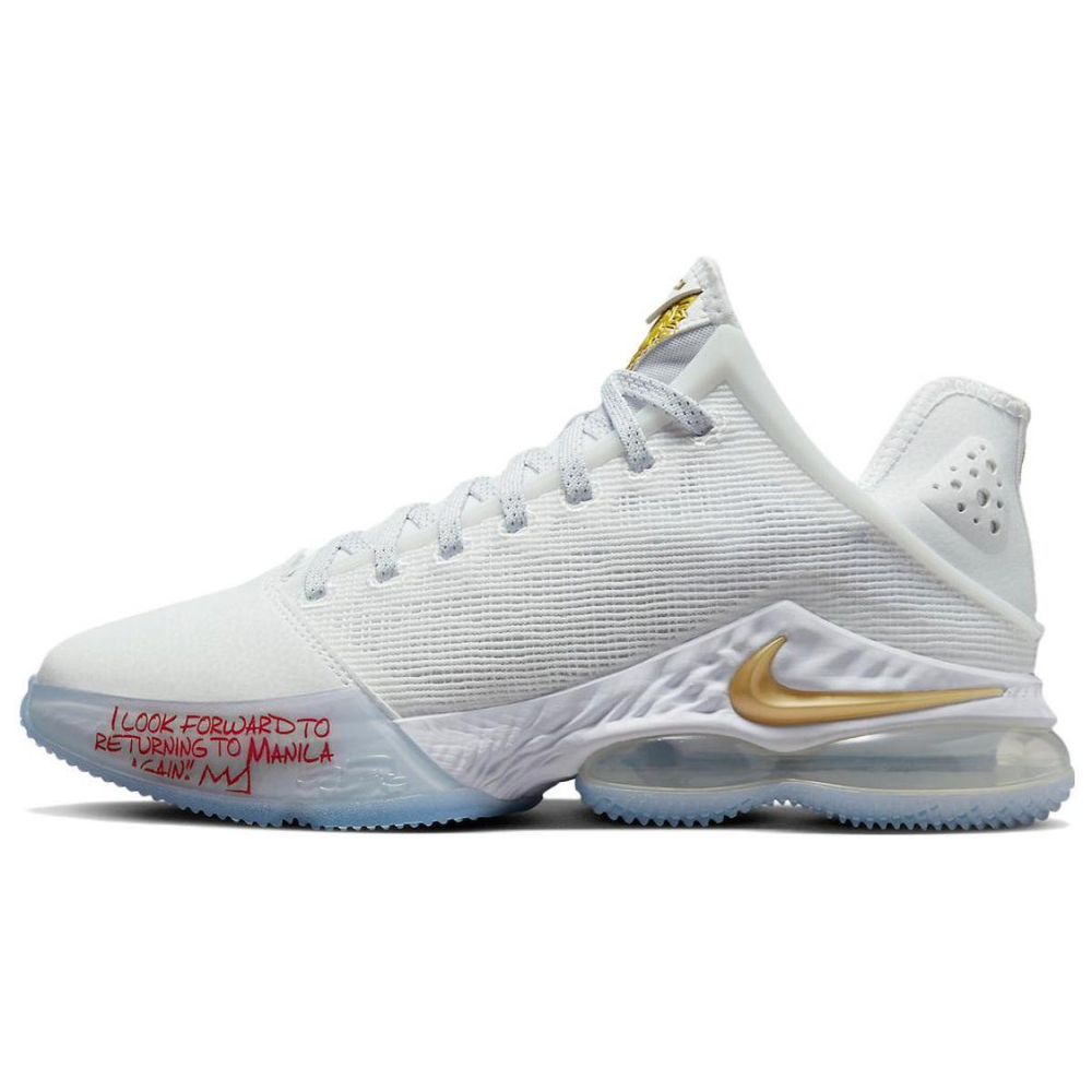 Nike Lebron 19