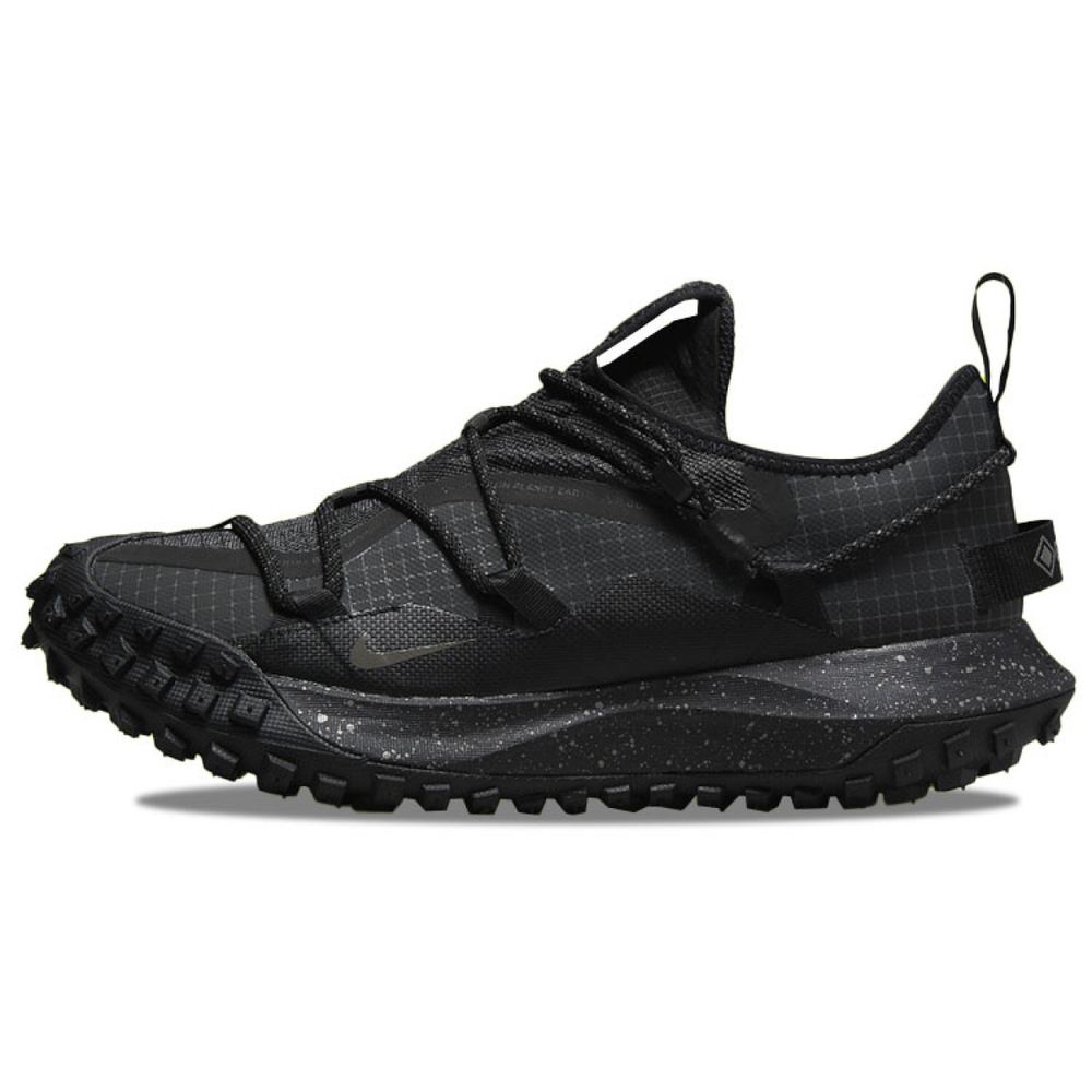 Nike ACG Mountain Fly Low GTX SE