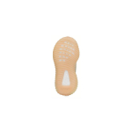 Adidas originals Yeezy Boost 350 V2 "Antlia"